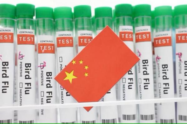 WHO Sebut China Mencatat Kematian Manusia Pertama akibat Flu Burung H3N8