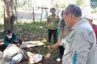Genta Organik Dimasifkan Kementan untuk Petani di Kalimantan