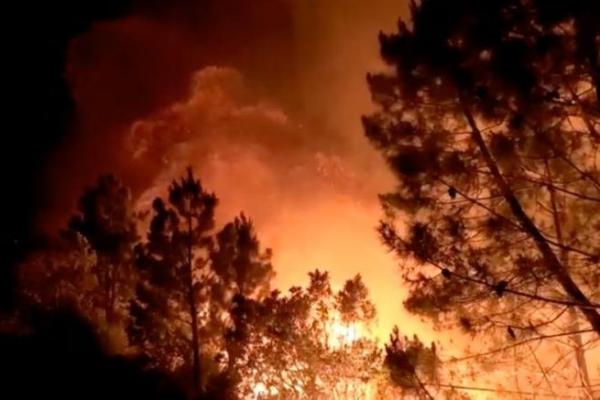 Kebakaran Merusak 8.000 Hektare Hutan Spanyol, Penduduk Desa Dievakuasi