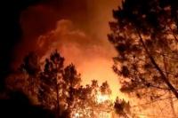 Kebakaran Merusak 8.000 Hektare Hutan Spanyol, Penduduk Desa Dievakuasi