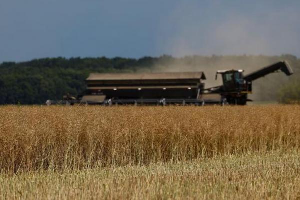 Rusia Mundur dari Kesepakatan Ekspor, Petani Ukraina Khawatirkan Masa Depan