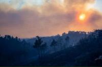 Kebakaran Hutan Rhodes di Yunani, Ribuan Warga dan Turis Dievakuasi