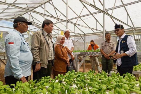 Tingkatkan Kualitas SDM, Kementan Serahkan Sertifikat dan Bantuan Sarpras P4S di Jambi