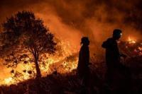 Catat,Tidak Ada WNI Yang Jadi Korban Kebakaran Hutan Kanada 