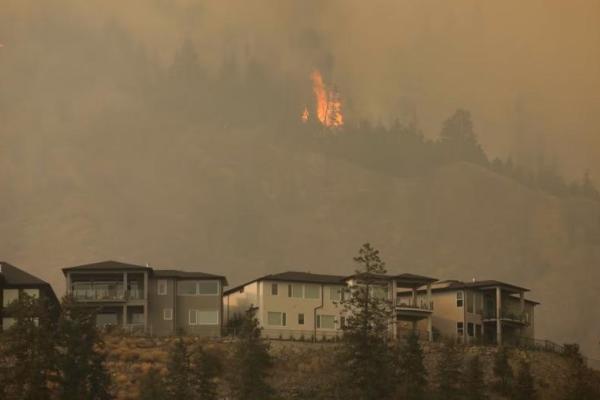 Berkobar Selama Empat Hari, Kebakaran Hutan British Columbia Mulai Mereda