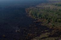 Kebakaran Hutan Meluas, Seluruh Warga Kota Sungai Hay Kanada Diperintahkan Pindah