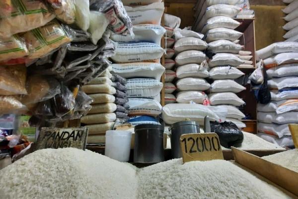 Bulog Sudah Impor 500 Ribu Ton Beras di Tahun 2024