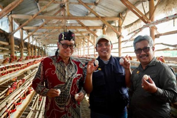 Cermatnya Petani Milenial Ini Tangkap Peluang dari Telur Ayam Arab