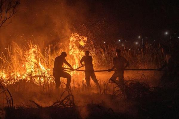 Kebakaran Hutan Berkobar, Warga di Australia Barat Didesak untuk Mengungsi