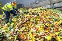 Miris, 40 Persen Timbunan Sampah di Indonesia Datang Dari Makanan