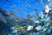 Rencana Besar ASEAN Perangi Sampah Laut Terganjal Biaya 