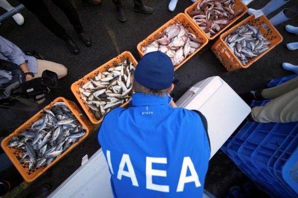 Ilmuwan PBB Menguji Ikan di Fukushima setelah Pelepasan Air Radioaktif