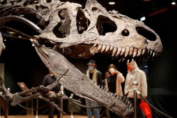 Ahli Ungkap Dinamika Predator-Mangsa Dinosaurus dari Bekas Gigitan