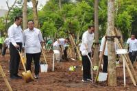 Jadi Menteri LHK Ad-Interim, Mentan Amran Dampingi Presiden Jokowi di Gerakan Tanam Pohon Bersama