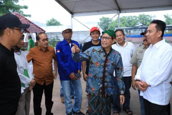 Mendes PDTT Dorong Budidaya Anggur Jadi Bagian Ketahanan Pangan