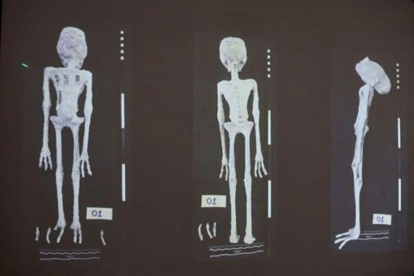 Ilmuwan Sebut Klaim soal Mumi Alien di Peru Sebenarnya Adalah Boneka dari Tulang