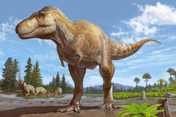 Ilmuwan Mengumumkan Temuan Spesies Tyrannosaurus Baru di Fosil New Mexico